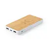 Powerbank Dickens