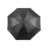 Umbrella Ziant