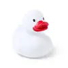 Ente Koldy