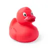 Ente Koldy