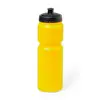 Drinking bottle Dumont