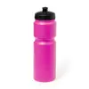 Trinkflasche Dumont
