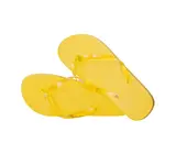 Flip Flop Salti