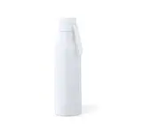 Wärme Flasche Roach
