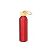 Drinking bottle Irvinson