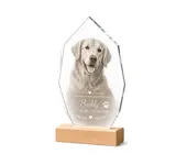 Plakette Pulman
