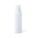 Wärme Flasche Roach