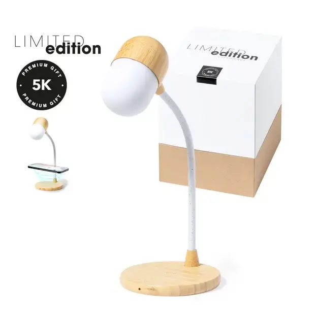 Multifunktion Lampe Lars