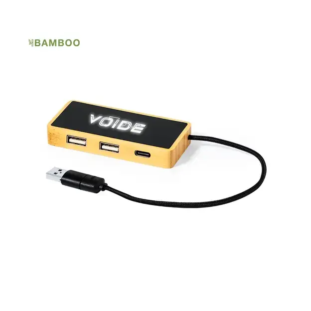 USB Hub Ginger