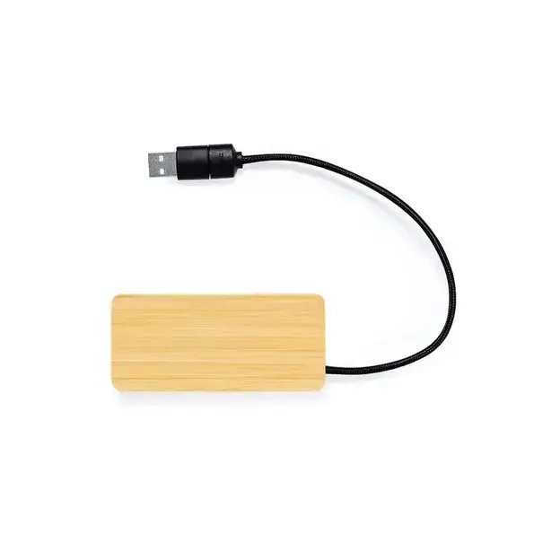 USB hub Ginger