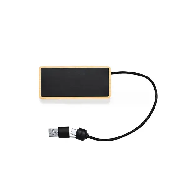 USB Hub Ginger