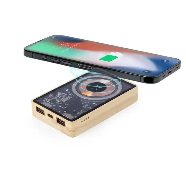 Powerbank Dominik