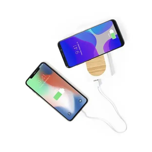 Power Bank Ditte