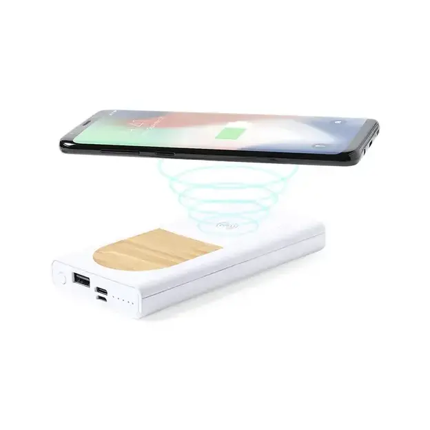Power Bank Ditte