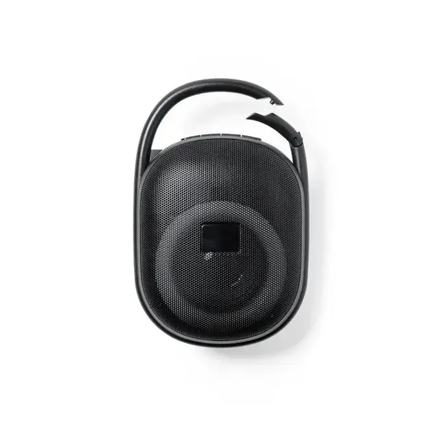 Speaker Walen