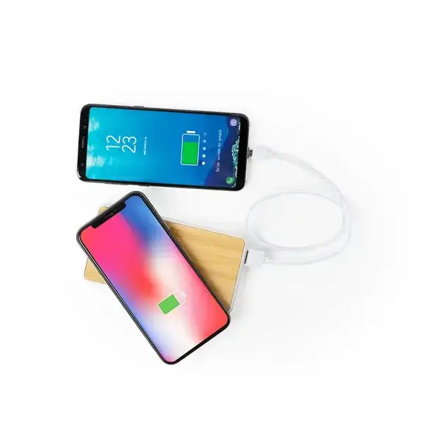 Powerbank Dickens
