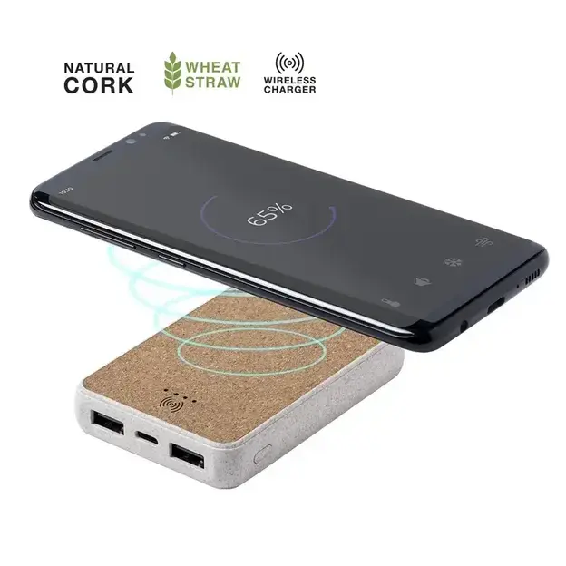 Powerbank Merak