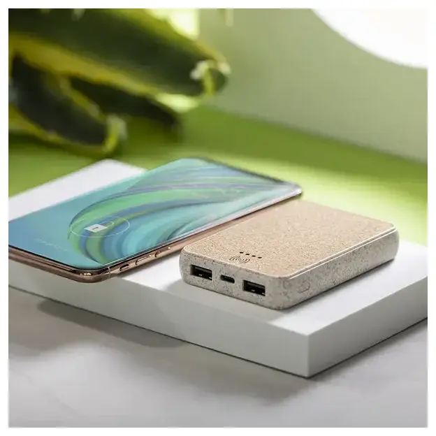 Powerbank Merak