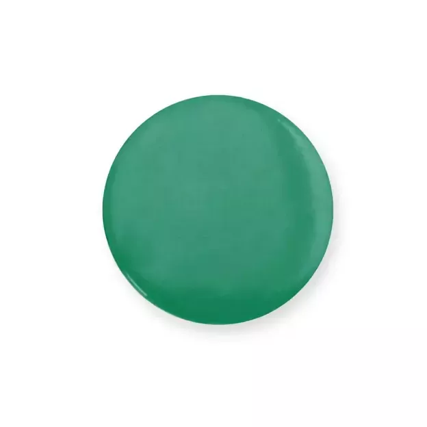 Pin Turmi