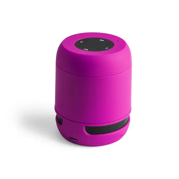 Speaker Braiss