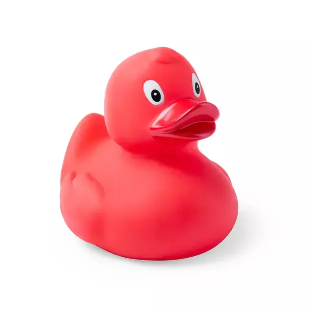 Ente Koldy
