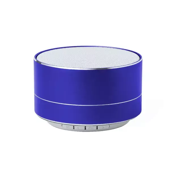 Speaker Skind