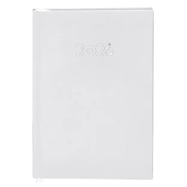 Diary Canek