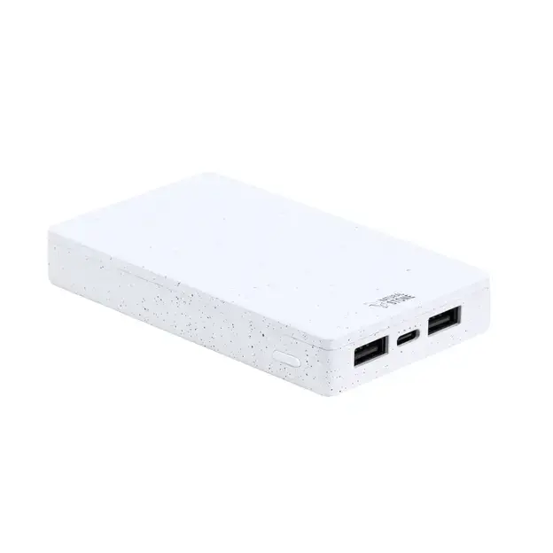 Power bank Noiman