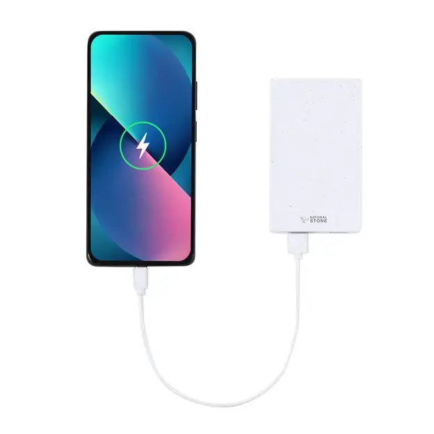 Power bank Noiman