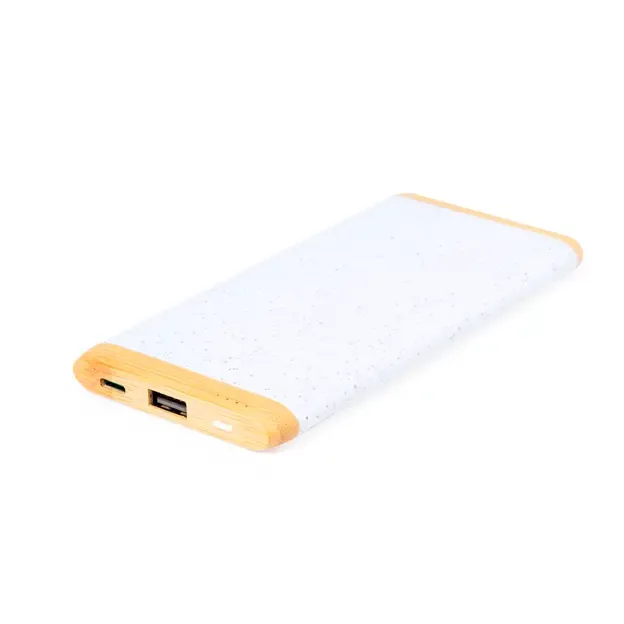 Power Bank Coquin