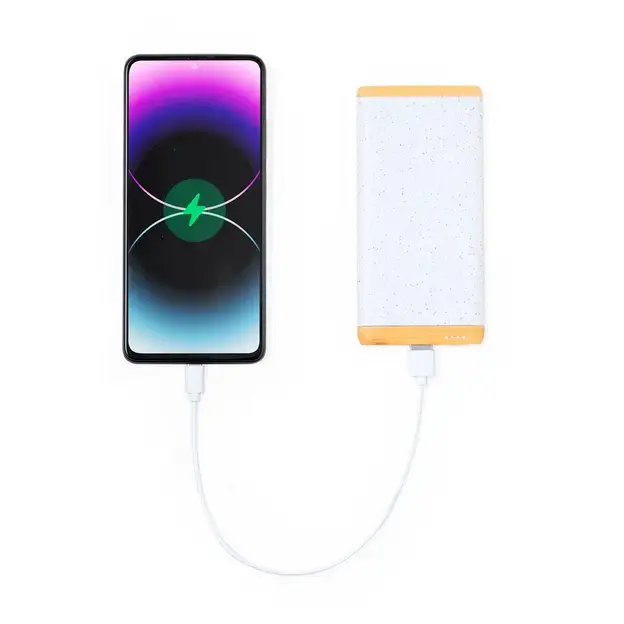 Power Bank Coquin