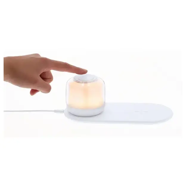 Ladegerät Lampe Reginal